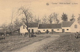 Melle - Lez - Gand : "  Caritas "  --- Le Ferme - Melle