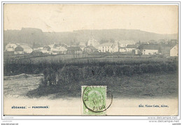 BODANGE ..-- Panorama . 1909 Vers PARIS . Voir Verso . - Fauvillers