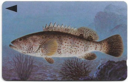 Bahrain - Fish Of Bahrain - Grouper - 40BAHJ (Crossed Ø), 1996, Used - Bahrein