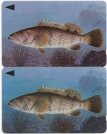 Bahrain - Fish Of Bahrain - Grouper [2 Variations 40BAHJ (O-Ø)], 1996, Used - Bahrein