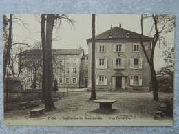 ST DIE                            INSTITUTION DU BEAU JARDIN                     VUE GENERALE - Saint Die