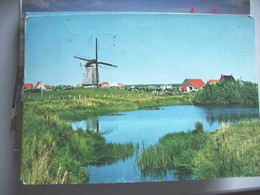 Nederland Holland Pays Bas Ameland Met Molen En Vijver Van Nes - Ameland