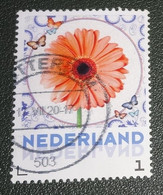 Nederland - NVPH - Xxxx - 2016 - Persoonlijke - Gebruikt - Hallmark - Gerbera - Persoonlijke Postzegels