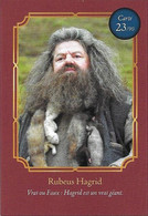 Carte Harry Potter Auchan N°23 Rubeus Hagrid - Harry Potter