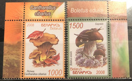 Belarus, 2008, Mi: 720/21 (MNH) - Funghi