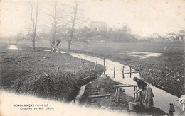 Semblançay       37     Château Du XII Eme... Rivière Et Laveuse             (voir Scan) - Semblançay