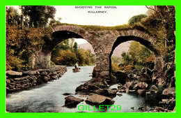 KILLARNEY, IRLANDE - SHOOTING THE RAPIDS - ANIMATED - ANIMATED IN 1936 -  VALENTINE'S VALESQUE - - Kerry