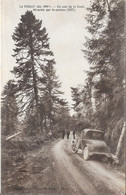 LE POIZAT - (alt 890m) - Un Coin De La Forêt Dévasté Par Le Cyclone (1927) - Otros Municipios