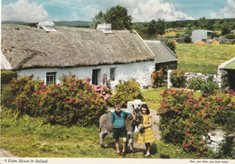 A Farm House In , Ireland - Autres & Non Classés