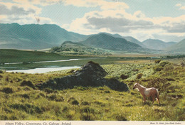 Maam Valley, Connemara, Co. Galway, Ireland - Galway