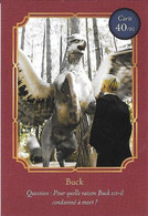 Carte Harry Potter Auchan N°40 Buck - Harry Potter