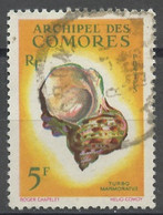 Comores - Comoros - Komoren 1962 Y&Tn°22 - Michel N°45 (o) - 5f Turbo Marmoratus - Used Stamps