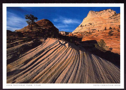 AK 001909 USA - Utah - Zion National Park - Zion