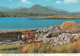 Berfraghboy Bay, Near Carna, Connemara, Co. Galway, Ireland - Galway