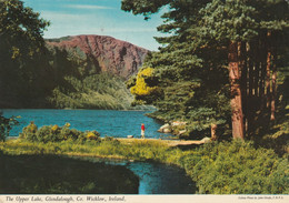 Delcampe - The Upper Lake Glendalough, Co. Wicklow, Ireland - Wicklow