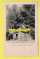 88 VOSGES / ENVIRONS DE SAINT-DIÉ / LOGE DU KEMBERG / ANIMÈE / 1904 - Saint Die