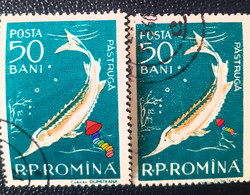 Stamps Errors Romania 1957 # MI 1689 Fish  Pastrugă, With Different Printed Errors Used - Abarten Und Kuriositäten