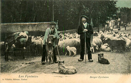 Tarbes * Les Pyrénées * Berger Pyrénéen * Métier Transhumance * Type Personnage - Tarbes