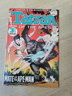 TARZAN - N° 209 - Année 1972 - édition Anglais - MATE Of The APE-MAN - Le Seigneur De La Jungle - EDGAR RICE BURROUGHS - Fumetti Giornali