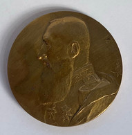 Médaille Bronze. Roi Léopold II. G. Devreese - Professionali / Di Società