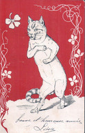 Le Chat, Art Nouveau, Litho (1.1.1901) - Katten