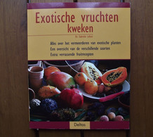 Exotische Vruchten Kweken - Dr. Gabriele Lehari - Kweken - Vermeerderen - Recepten - Exotische Planten 96 Pag. - Practical