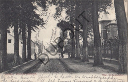 Postkaart/Carte Postale GEEL - Dreef Der Infirmerie (C902) - Geel