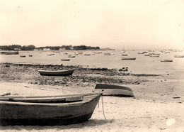 Rivedoux , Ile De Ré * La Baie - Ile De Ré