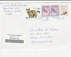 Cuba Postally Used Cover - Lettres & Documents