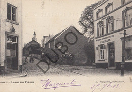 Postkaart/Carte Postale PERWEZ - La Rue Aux Frênes  (C900) - Perwez