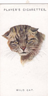 12 Wildcat - Wild Animal Heads 1931 - Players Cigarette Card - Original - Wildlife, - Wills