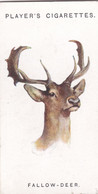 16 Fallow Deer   - Wild Animal Heads 1931 - Players Cigarette Card - Original - Wildlife, - Wills