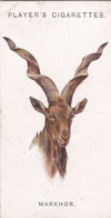 37 The Markhor  - Wild Animal Heads 1931 - Players Cigarette Card - Original - Wildlife, - Wills