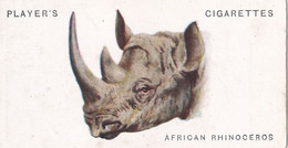 41 African Rhino   - Wild Animal Heads 1931 - Players Cigarette Card - Original - Wildlife, - Wills