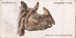 42 Indian Rhino   - Wild Animal Heads 1931 - Players Cigarette Card - Original - Wildlife, - Wills