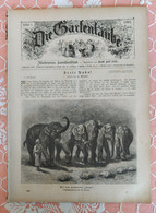 Die Gartenlaube, Illustriertes Familienblatt,1893, Halbheft 4. MENTONE BENTONE, SPREEWALD ALPENROSEN - Sonstige & Ohne Zuordnung