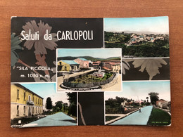 SALUTI DA CARLOPOLI ( CATANZARO ) 1963 - Catanzaro