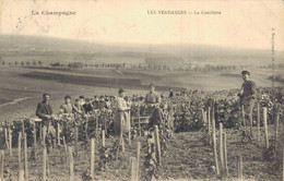 H0710 - Les Vendanges - La Cueillette - Vignes