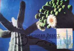 USA CACTUS FLORA MAXIMUM CARD SONORAN DESERT CLEAR POSTMARK SAGUARO - Tucson