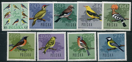 POLAND 1966 Woodland Birds MNH / **.  Michel 1718-26 - Unused Stamps