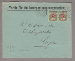 CH Portofreiheit Zu#4 2x5Rp. Kl#313 1922-03-14 Luzern Brief Verein Für Ein Luzerner Lungensanatorium - Portofreiheit