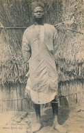 Colonies Françaises Afrique Occidentale - Type Bambara - Coll. Albaret N° 47 Circulée FM 1920 - Senegal