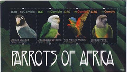 MDB-BK1-181-2+183-2 MINT ¤ GAMBIA 2011 Kompl. Set ¤ PARROTS BIRDS OF THE AFRICA OISEAUX BIRDS PAJAROS VOGELS VÖGEL - Pappagalli & Tropicali