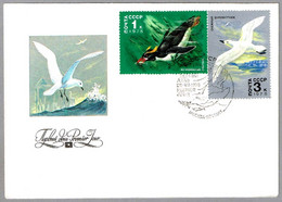 WHITE-WINGED PETREL - PETREL DE GOULD - Pterodroma Leucoptera. FDC Moscu 1978 - Mechanical Postmarks (Advertisement)