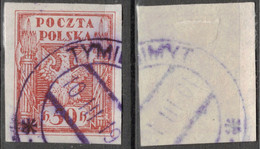 POLEN POLOGNE POLAND 1919 Mi 71 USED - Used Stamps