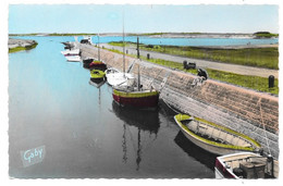 44 - QUIMIAC MESQUER - Port De Kercabellec - Ed. Gaby ARTAUD N° 25 Colorisée - Mesquer Quimiac