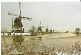 CP KINDERDIJK - Kinderdijk