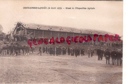 87 - CHATEAUNEUF LA FORET - STAND DE L' EXPOSITION AGRICOLE  30 AVRIL 1933 - RARE - Chateauneuf La Foret