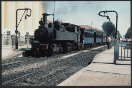 Spain ? - Grande Photo Format 270 X 178 Tirage Récent - Locomotora Type Mallet - Voir Scan - Treni