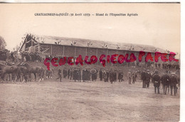 87 - CHATEAUNEUF LA FORET - STAND DE L' EXPOSITION AGRICOLE  30 AVRIL 1933 - RARE - Chateauneuf La Foret